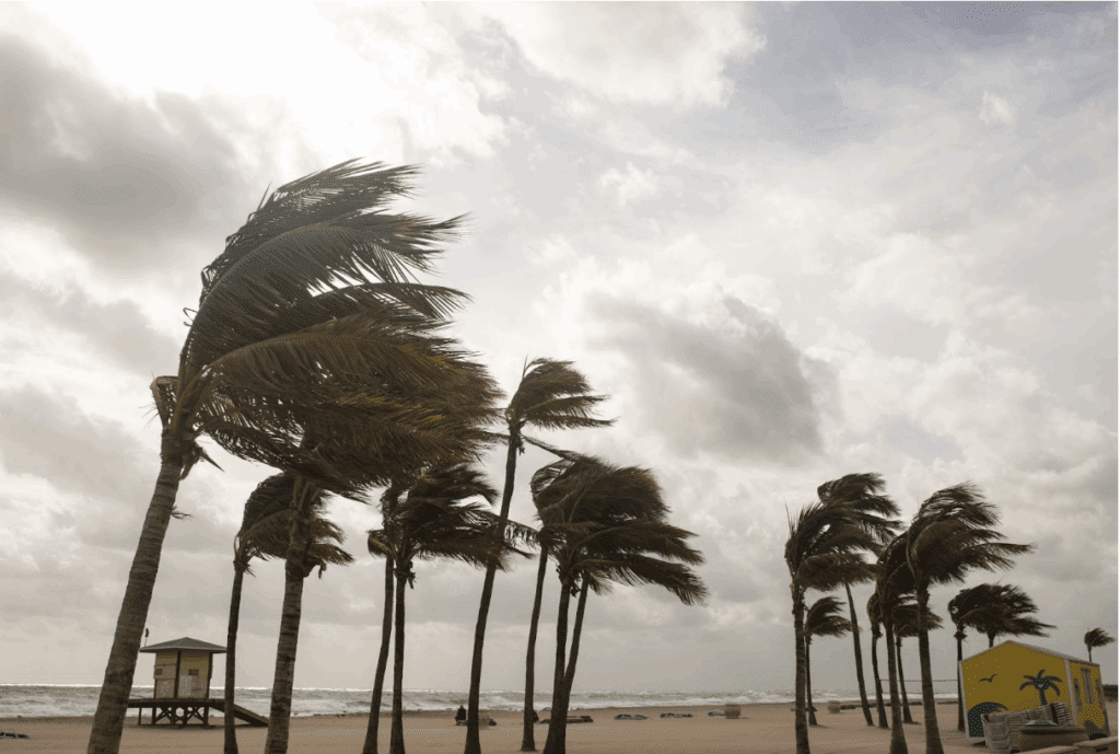 avoid hurricanes when wedding planning